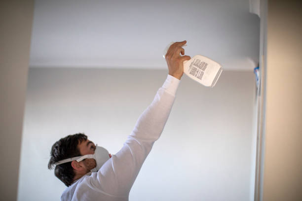 Best Mold Removal Process  in Forest Heights, MD